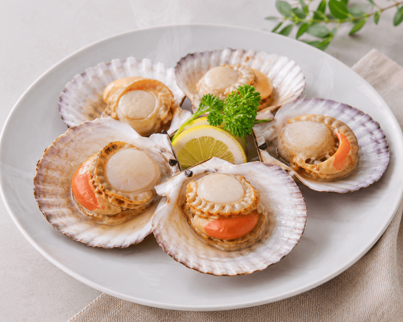Steamed Scallops (1kg, 5-6 pieces)